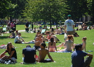 St. James's Park - Landmark | Outdoor Activity | Park in London.