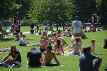 St. James's Park - Landmark | Outdoor Activity | Park in London.
