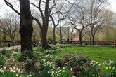Tompkins Square Park - Park | Event Space in NYC
