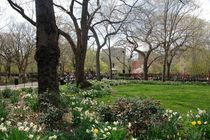Tompkins Square Park - Park | Event Space in New York.