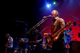 Modest Mouse