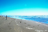 Ocean-beach_s165x110