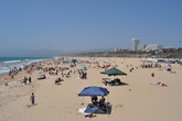 Santa-monica-beach_s165x110