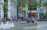 Fifth-avenue_s159
