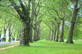Hyde-park_s165x110