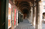 Erbaria_s159