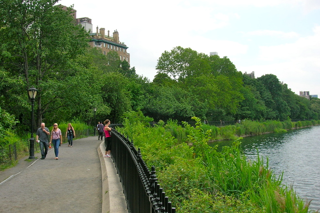 Photo of Central Park