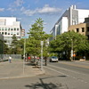 Cambridge / Somerville, Boston