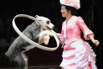 Big-apple-circus-queens_s210x140