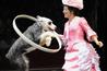 Big Apple Circus Queens - Circus in New York.