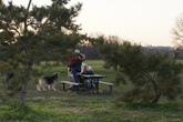 Gravelly-point-park_s165x110