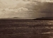 Silver, Salt, and Sunlight: Early Photography in Britain and France - Photography Exhibit in Boston.