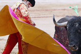 Bullfights_s165x110