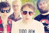 Deer-tick_s165x110