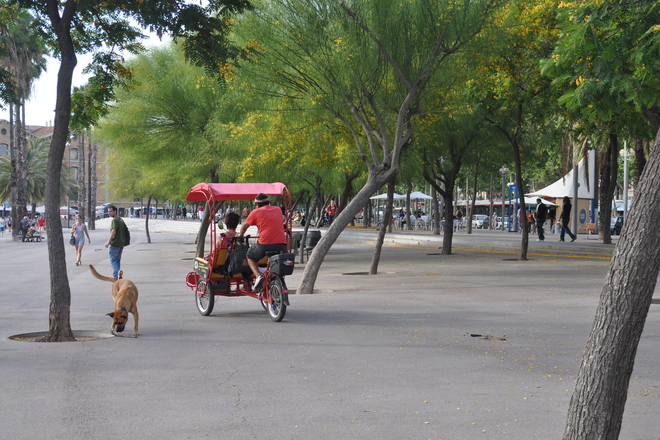 Photo of Port Olimpic / Barceloneta, Barcelona