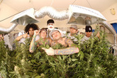 Kottonmouth-kings_s165x110