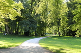 Englischer-garten_s159