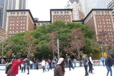 Downtown on Ice - Holiday Event in Los Angeles.