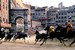 Palio di Siena - Festival | Sports in Florence.