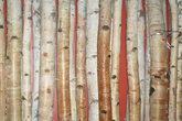 District-lounge_s165x110