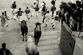 Running-of-the-bulls_s165x110