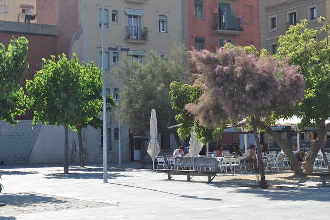 Photo of Port Olimpic / Barceloneta, Barcelona