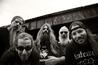 Lamb of God
