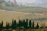 Chianti_s165x110