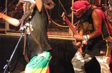 Steel-pulse_s159