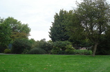 Regents-park_s159