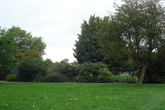 Regents-park_s165x110