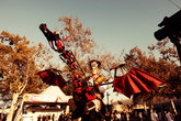 Nocturnal-wonderland_s165x110