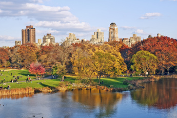 Central Park in New York.