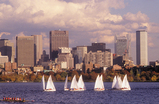 Boston_s159