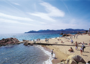 Plage de la Croisette - Beach | Outdoor Activity | Shopping Area in French Riviera.