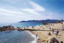 Plage de la Croisette - Beach | Outdoor Activity | Shopping Area in French Riviera.