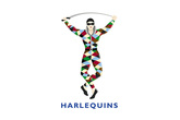 Harlequins-rugby_s165x110