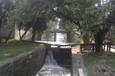Georgetown_s165x110