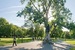 Clapham Common - Concert Venue | Park in London.