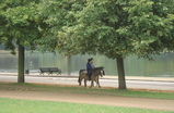 Hyde-park_s159