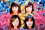 Wild Flag