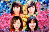 Wild-flag_s159