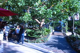 The-grove-farmers-market_s165x110