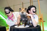 Natural History Museum's Lates with Mastercard - Party | Food & Drink Event | Art Exhibit in London.
