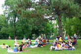 Central Park - Culture | Outdoor Activity | Park in New York.