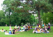 Central Park - Culture | Outdoor Activity | Park in New York.