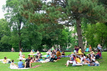 Central Park - Culture | Outdoor Activity | Park in New York.