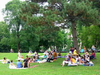 Central Park - Culture | Outdoor Activity | Park in New York.