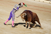 San Fermin Bullfights - Bull Fighting in Pamplona: The Running of the Bulls.
