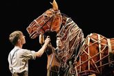 War-horse-2_s165x110